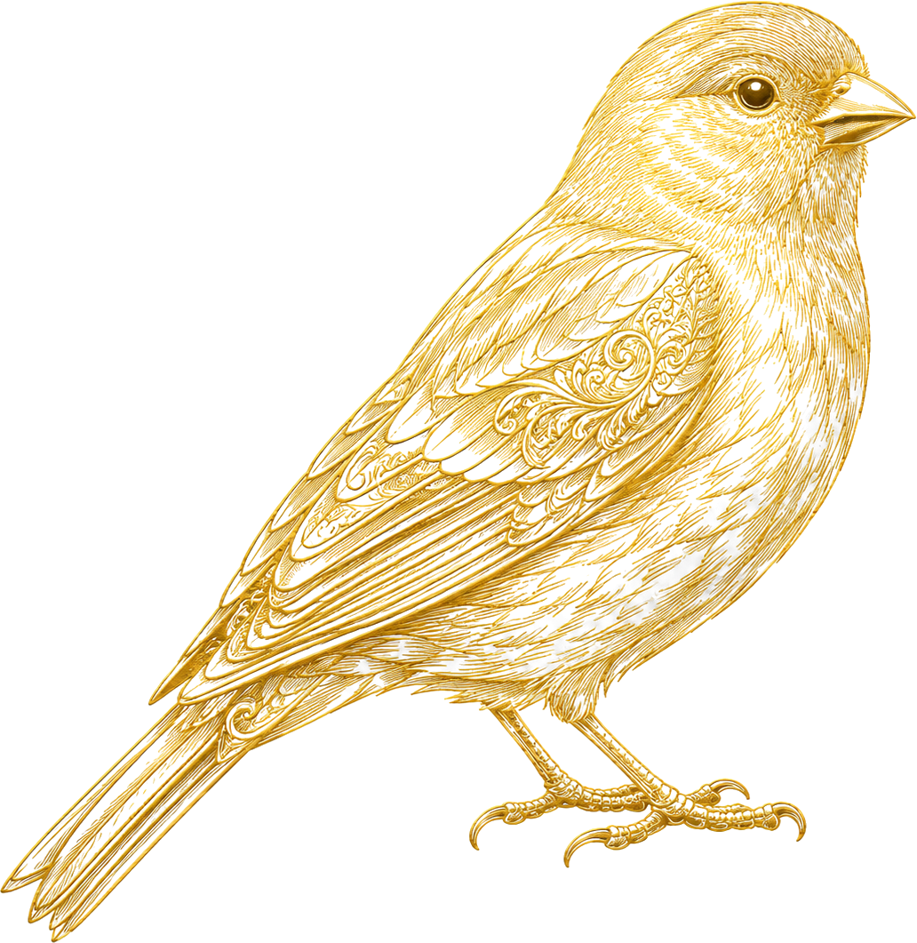 FXCanary — independent forex broker watchdog